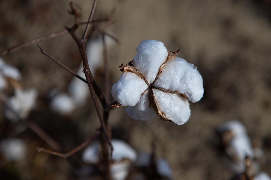 The Benefits of Using Organic Cotton Materials for Sewing and Handmaking