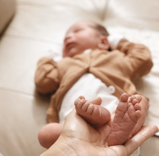 Baby Gammo has arrived! Shop update!