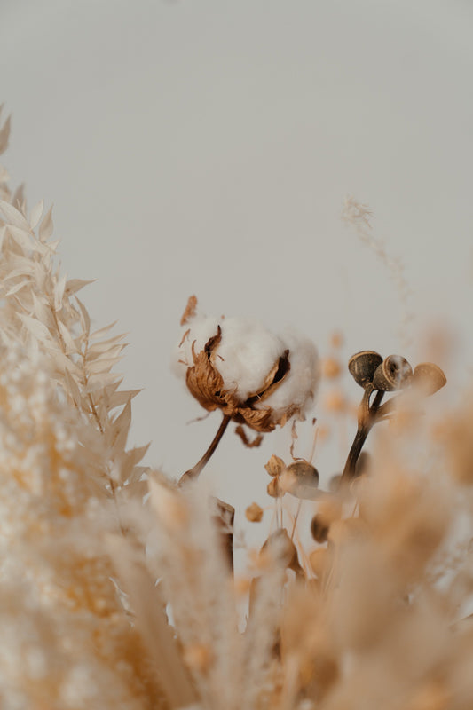 Avoiding Synthetic Fibers