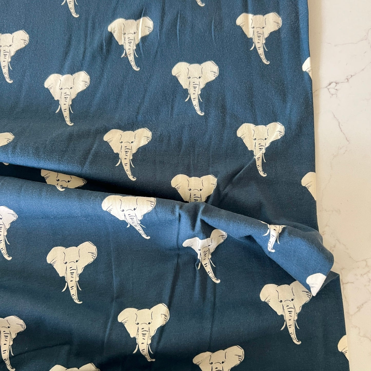 Wild & Majestic Interlock Knit