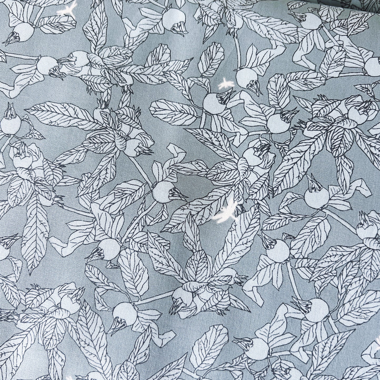 Charming Medlar Poplin